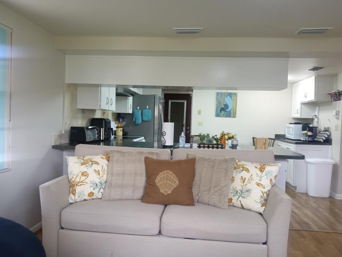Comfortable, Sunny, Quiet Neighborhood Port Richey Exterior foto